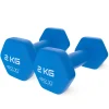 4FIZJO Hantelki żeliwne do ćwiczeń Classic 2 x 2 kg Clearance