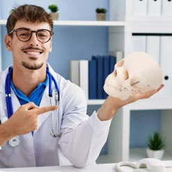 4FIZJO Model anatomiczny czaszka człowieka Discount