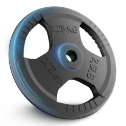 4FIZJO Obciążenie żeliwne 2 x 1,25 kg Best