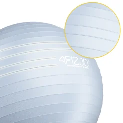 4FIZJO Piłka gimnastyczna dmuchana 55 cm szara Discount